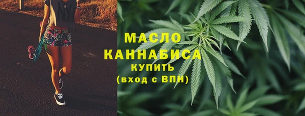 индика Волосово