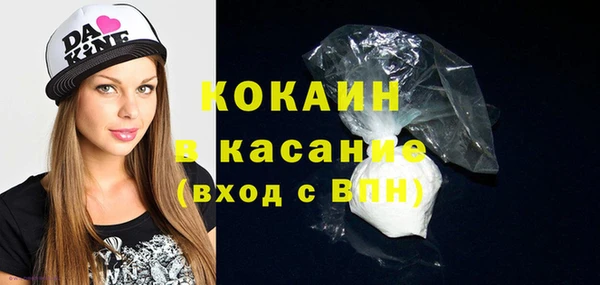 индика Волосово