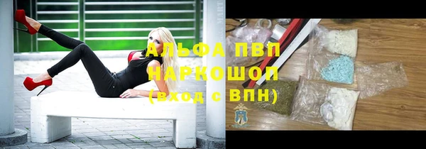 индика Волосово