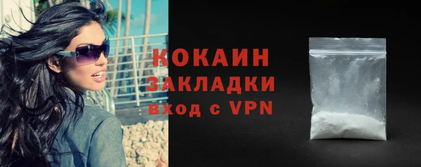 индика Волосово