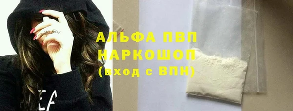 индика Волосово