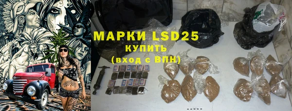 индика Волосово