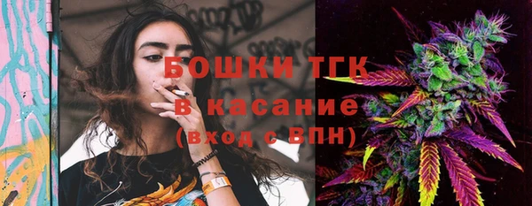 индика Волосово