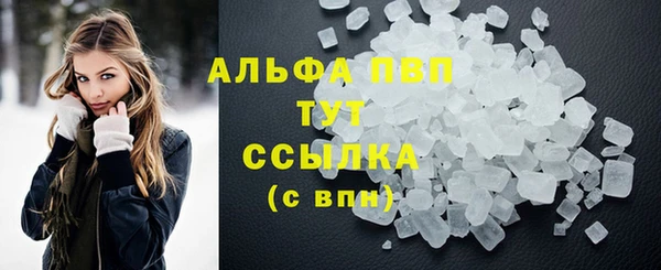индика Волосово