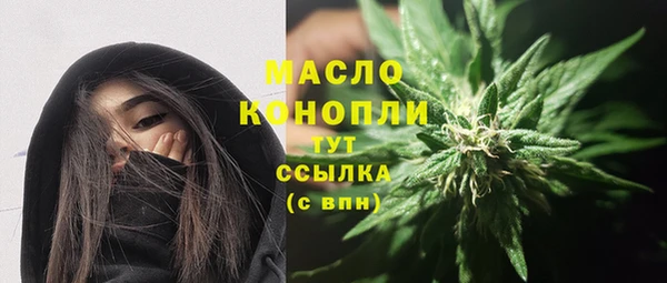 индика Волосово